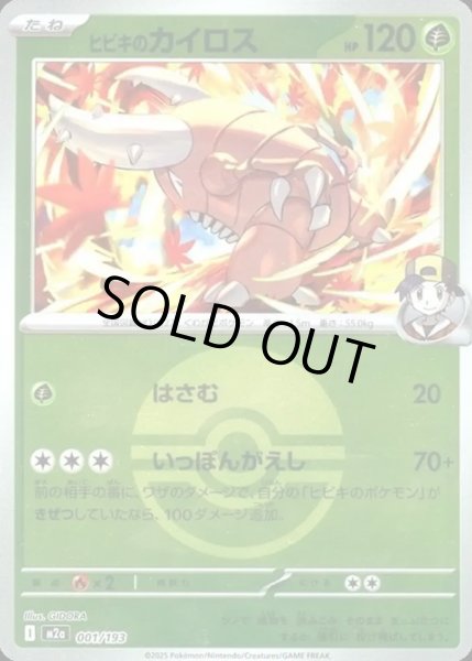 画像1: ヒビキのカイロス【レアリティなし】【草】【ボールミラー】 (1)