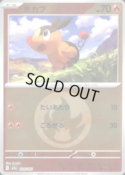 画像1: ポカブ【レアリティなし】【炎】【エネルギーマークミラー】 (1)