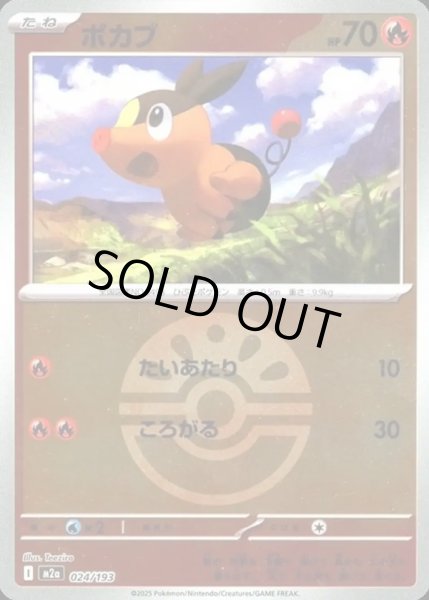 画像1: ポカブ【レアリティなし】【炎】【ボールミラー】 (1)