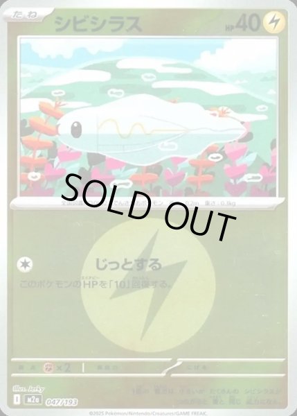 画像1: シビシラス【レアリティなし】【雷】【エネルギーマークミラー】 (1)