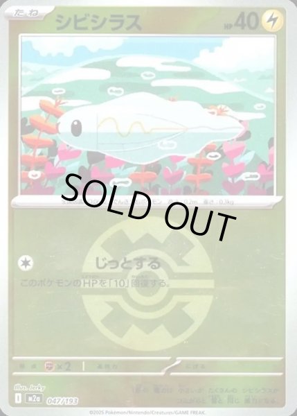 画像1: シビシラス【レアリティなし】【雷】【ボールミラー】 (1)