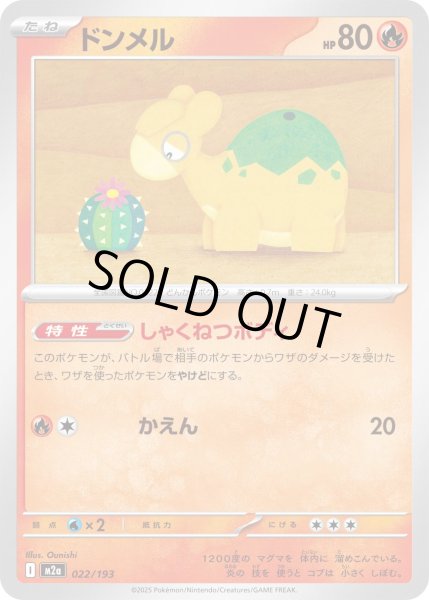 画像1: ドンメル【レアリティなし】【炎】 (1)