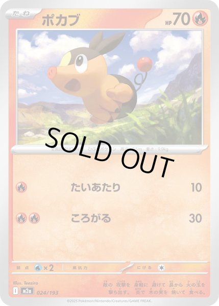 画像1: ポカブ【レアリティなし】【炎】 (1)