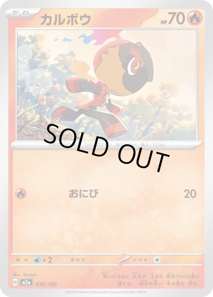 画像1: カルボウ【レアリティなし】【炎】 (1)