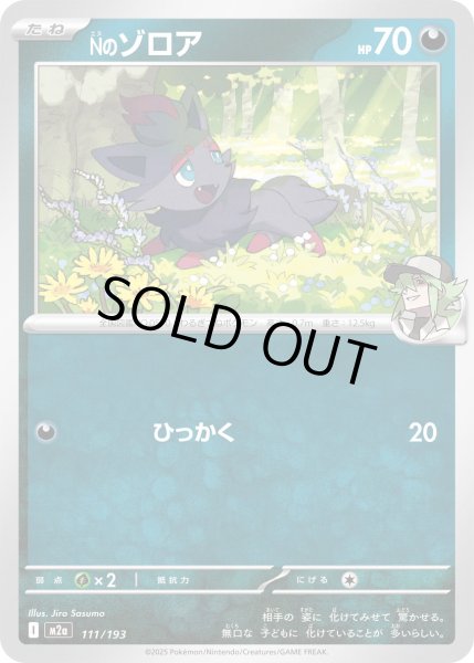 画像1: Nのゾロア【レアリティなし】【悪】 (1)