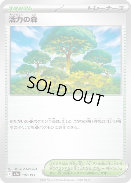 画像1: 活力の森【レアリティなし】 (1)