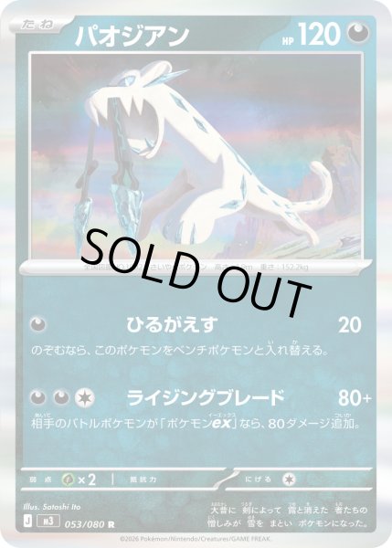 画像1: パオジアン【R】【悪】 (1)