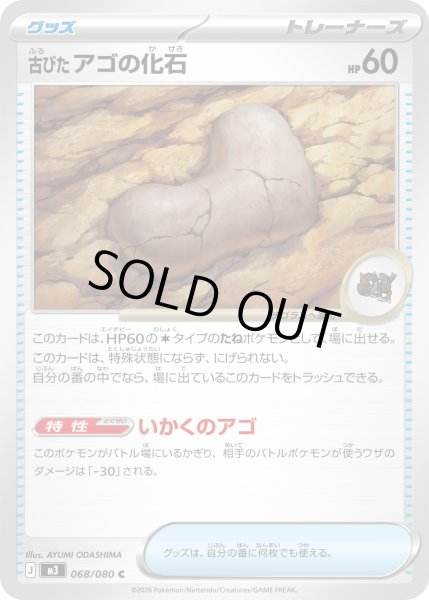 画像1: 古びたアゴの化石【C】 (1)