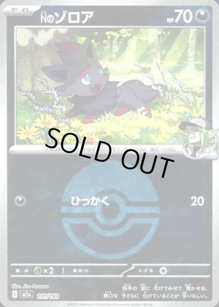 画像1: Nのゾロア【レアリティなし】【悪】【ボールミラー】 (1)