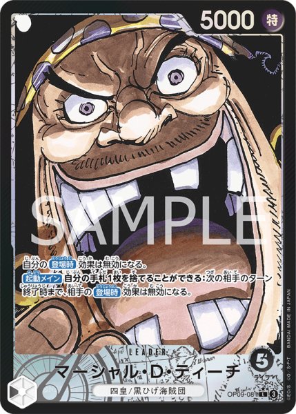 画像1: マーシャル・Ｄ・ティーチ【L】【リーダーパラレル】【黒】 (1)