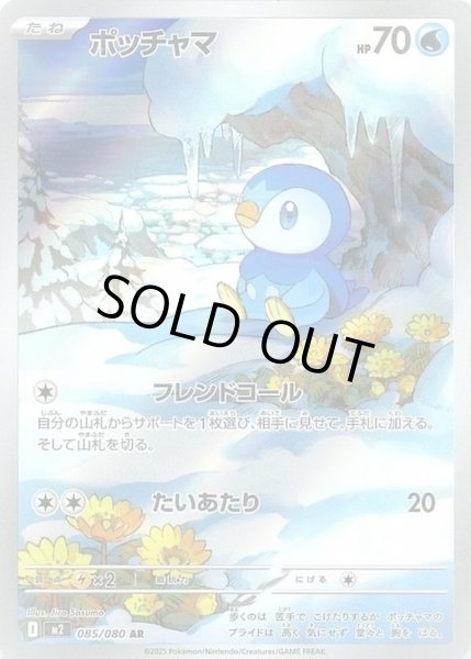 画像1: ポッチャマ【AR】【水】 (1)